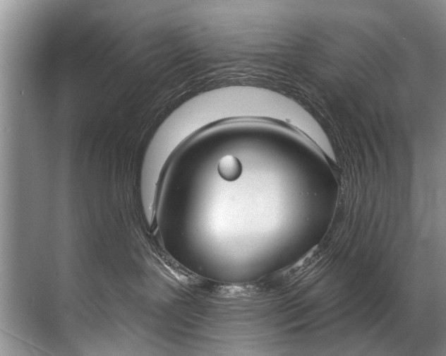 X0000071800239200607150155