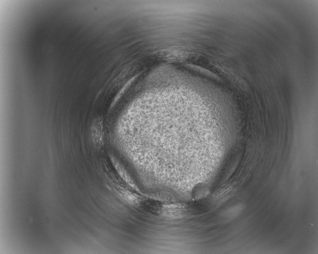 X0000071800240200607150154