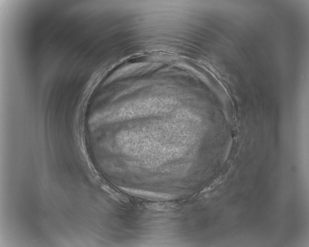 X0000071800241200607150154