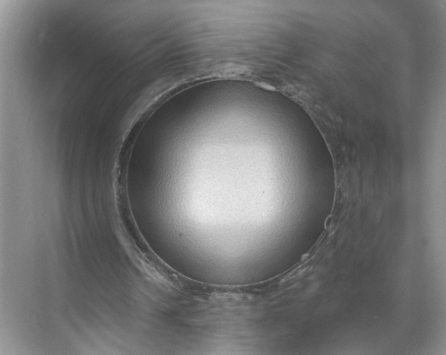 X0000071800242200607150154