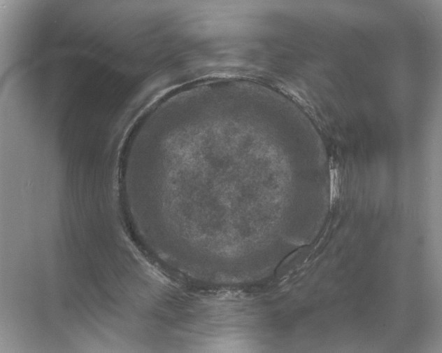 X0000071800243200607150154