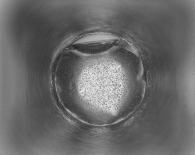 X0000071800245200607150154