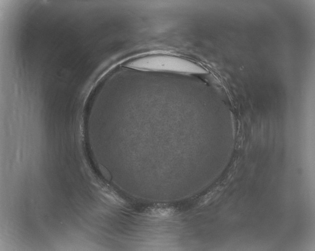 X0000071800247200607150154