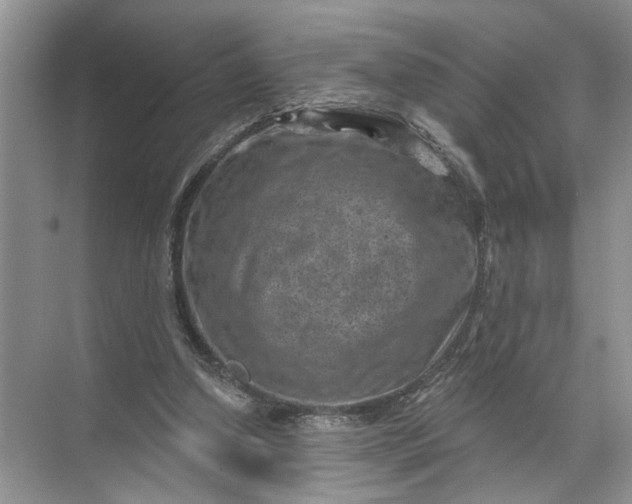 X0000071800250200607150154