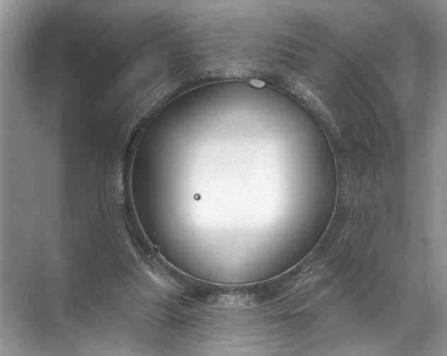 X0000071800251200607150154