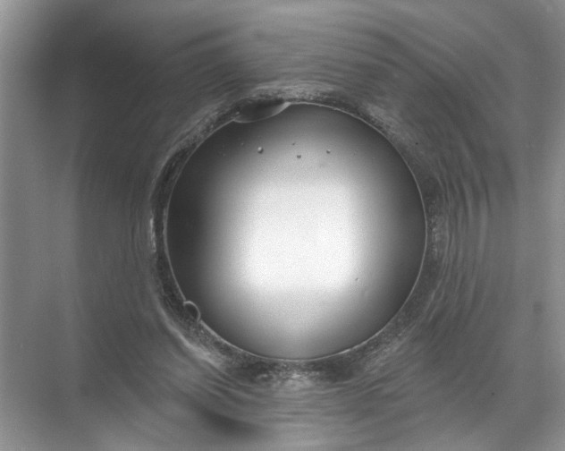 X0000071800254200607150154