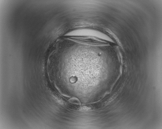 X0000071800257200607150154