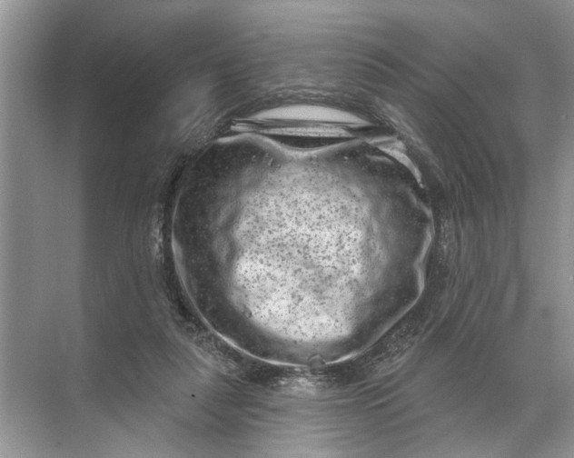 X0000071800259200607150154