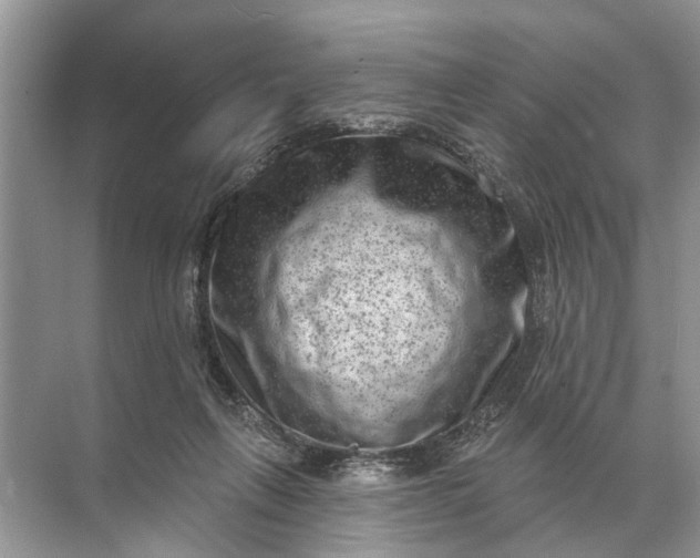 X0000071800263200607150154