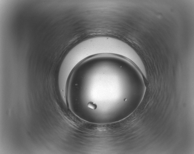 X0000071800264200607150154