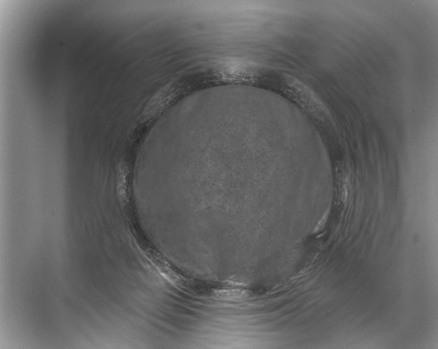 X0000071800266200607150154