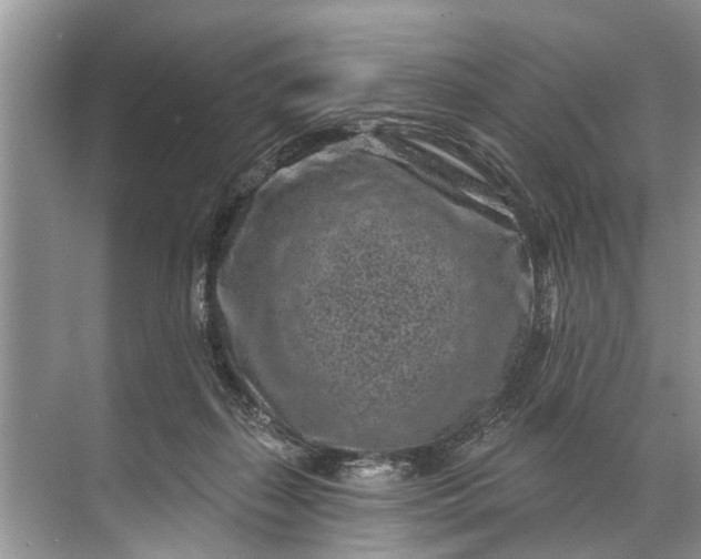 X0000071800267200607150154