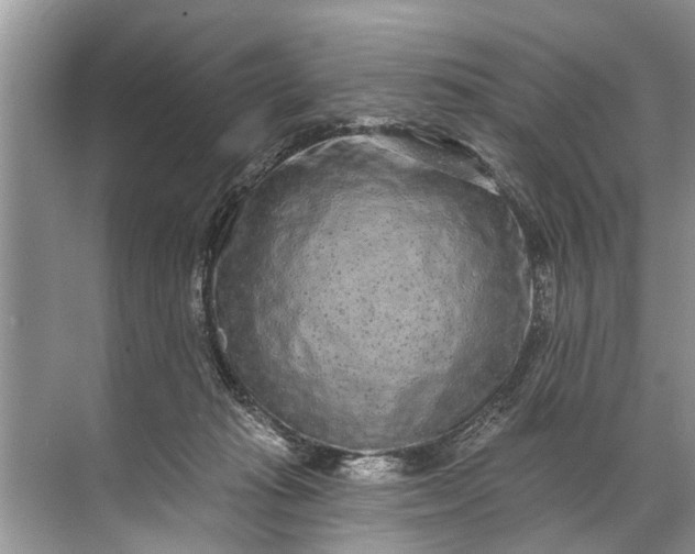 X0000071800269200607150154