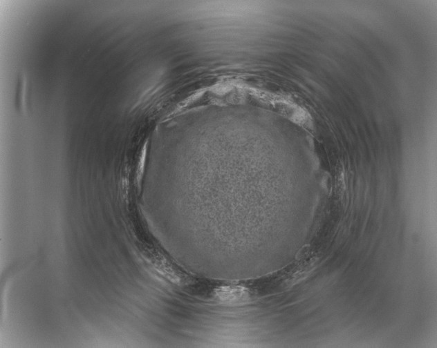 X0000071800271200607150154