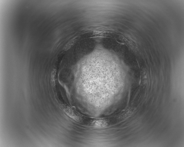 X0000071800275200607150154