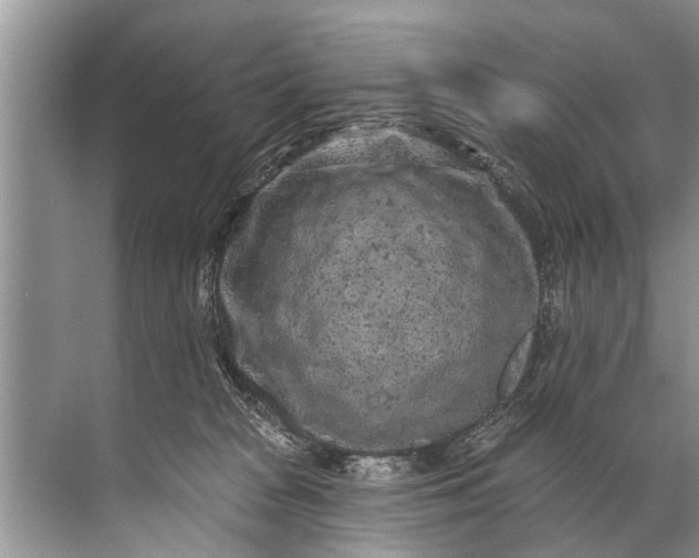 X0000071800277200607150154