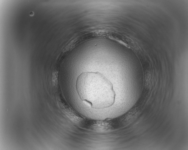 X0000071800278200607150154