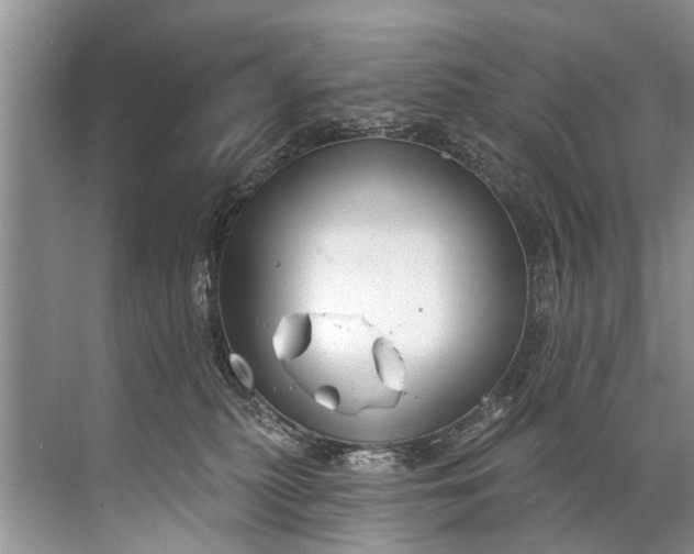 X0000071800279200607150154