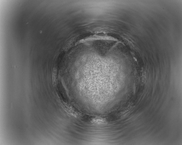 X0000071800283200607150154