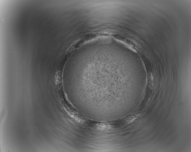 X0000071800284200607150154