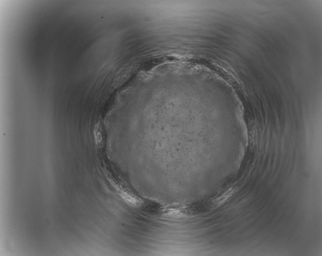 X0000071800285200607150154