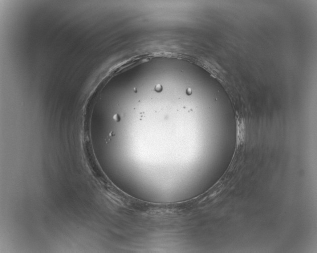 X0000071800291200607150154