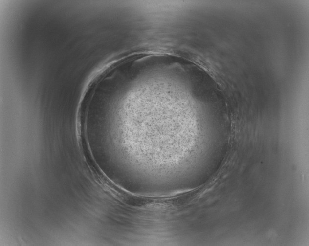 X0000071800294200607150154