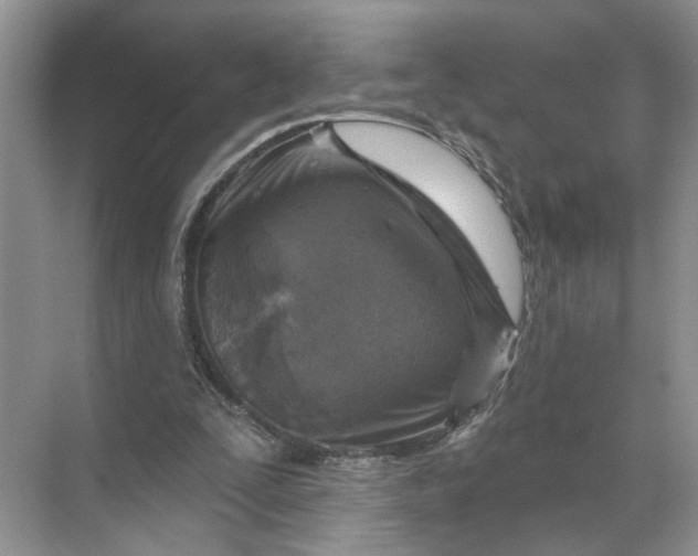 X0000071800295200607150154