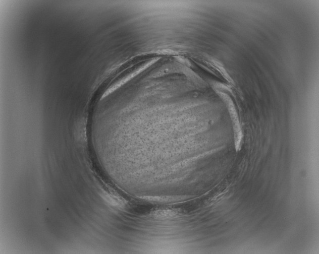 X0000071800299200607150154