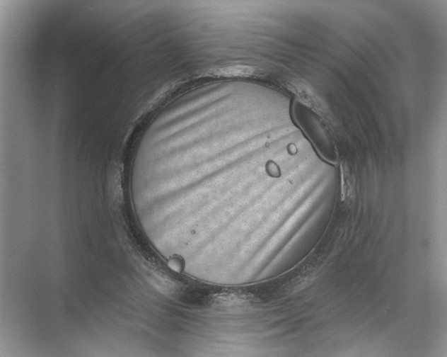 X0000071800300200607150153