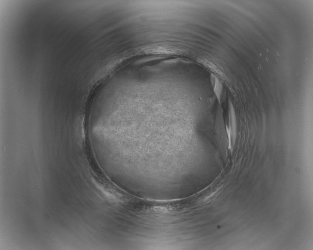 X0000071800302200607150153