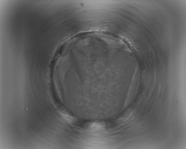 X0000071800303200607150153