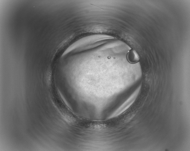 X0000071800304200607150153