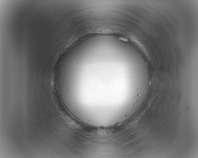 X0000071800305200607150153