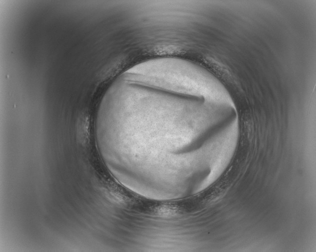 X0000071800308200607150153