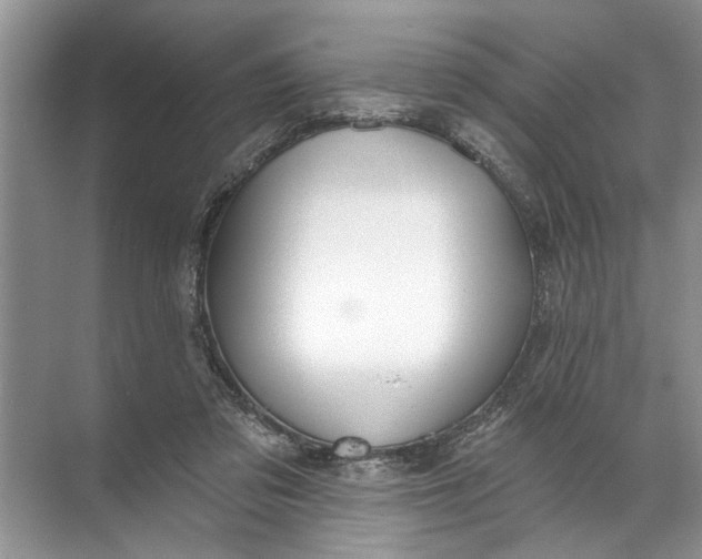 X0000071800309200607150153