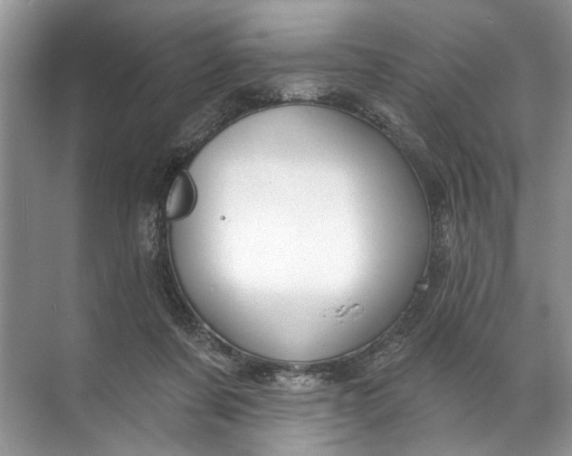 X0000071800311200607150153