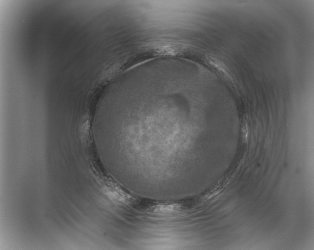 X0000071800314200607150153