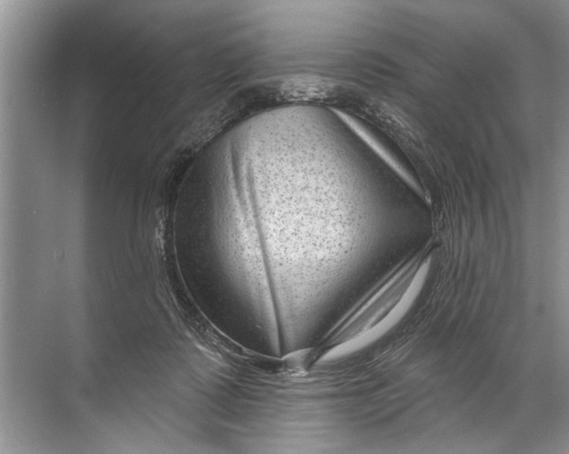 X0000071800315200607150153