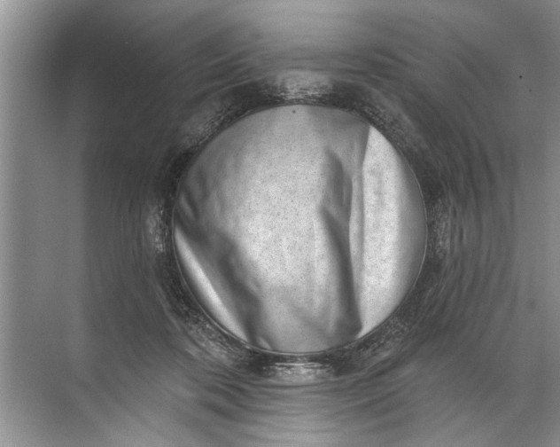 X0000071800316200607150153