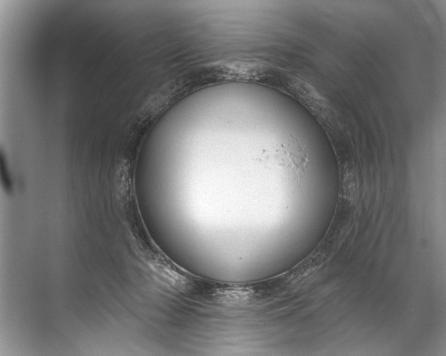 X0000071800318200607150153