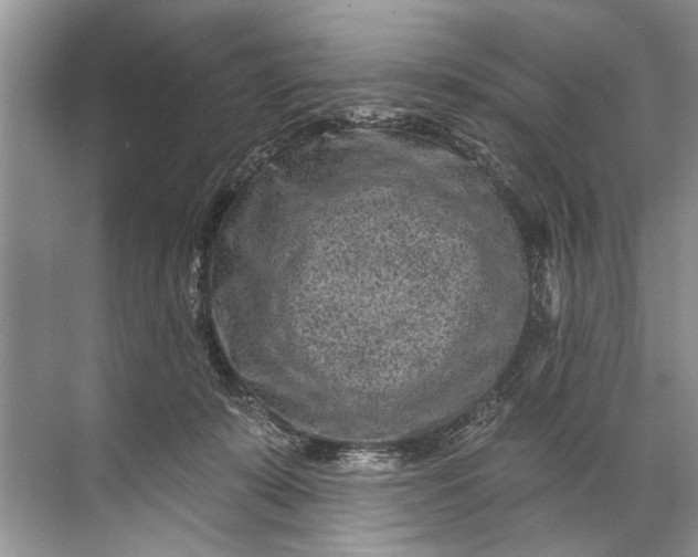 X0000071800319200607150153