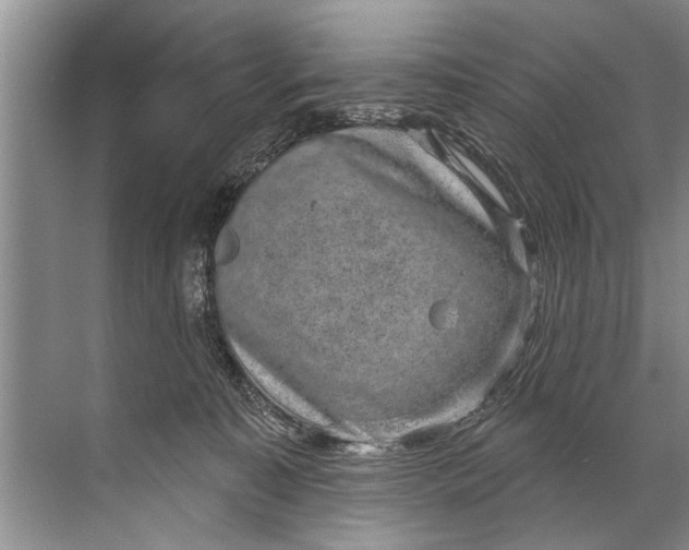 X0000071800323200607150153