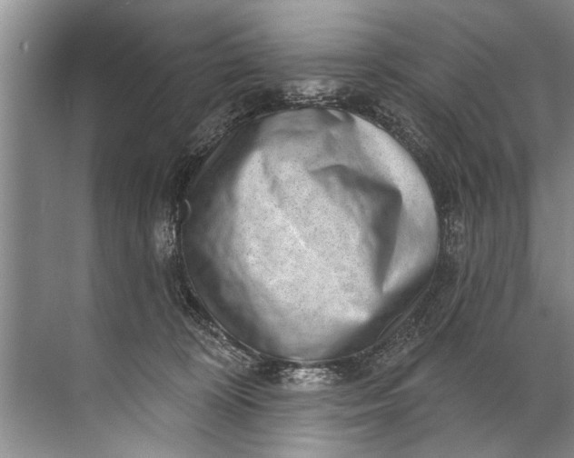 X0000071800324200607150153