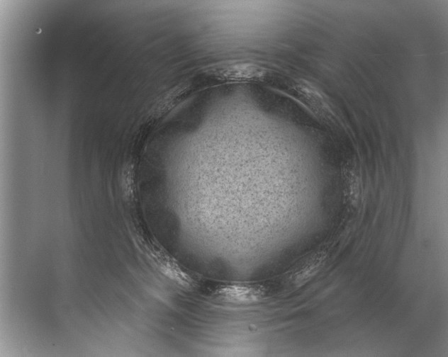 X0000071800326200607150153