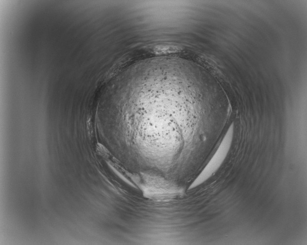 X0000071800327200607150153