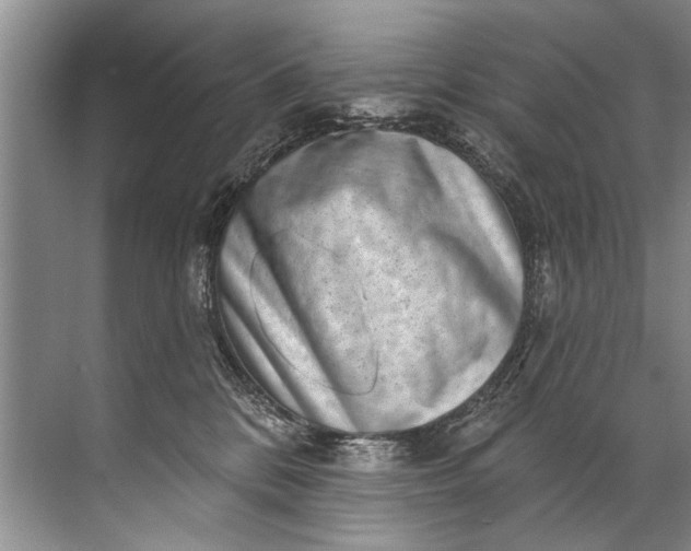 X0000071800328200607150153