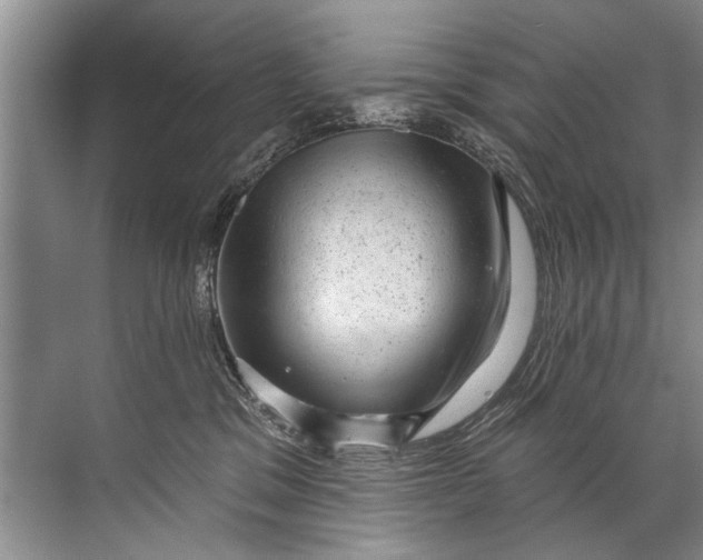 X0000071800329200607150153