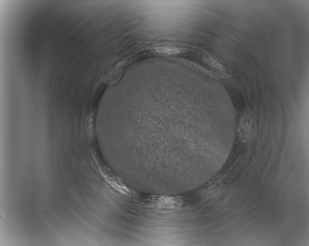 X0000071800330200607150153