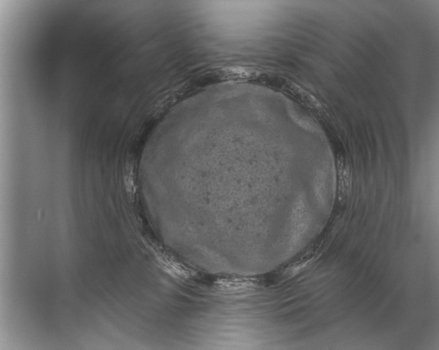 X0000071800331200607150153